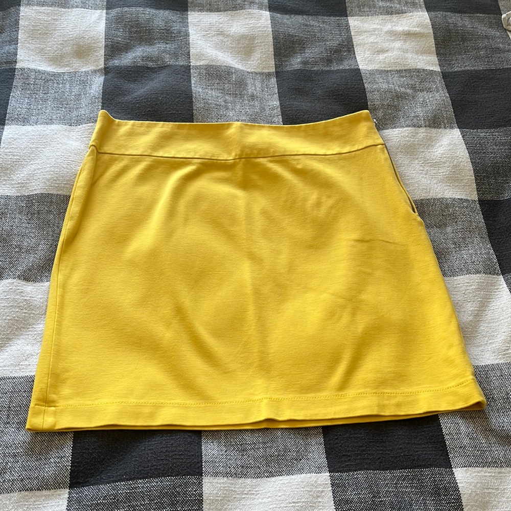 Banana Republic skirt
